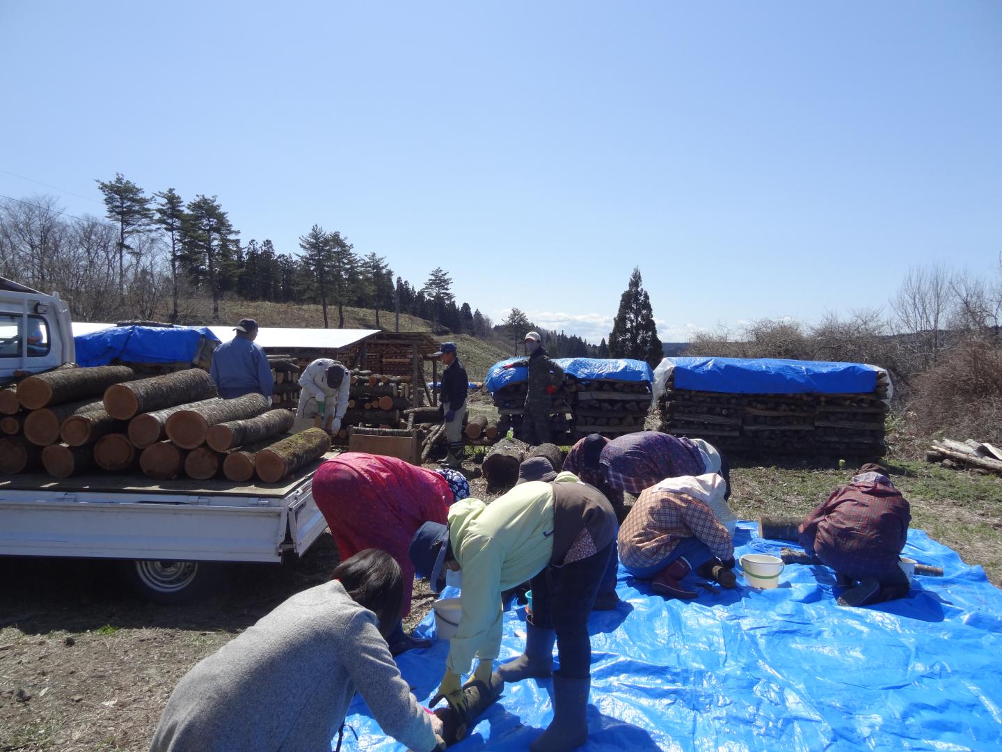 馬子岱公園そばのどば